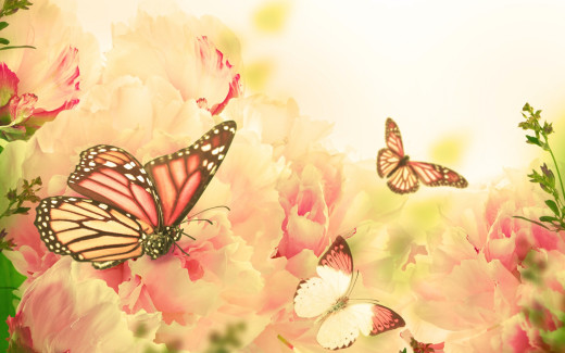 869420 (a): :2880x1800